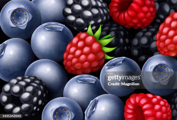 stockillustraties, clipart, cartoons en iconen met raspberry, blackberry, blueberry sweet berries mix background - opstand