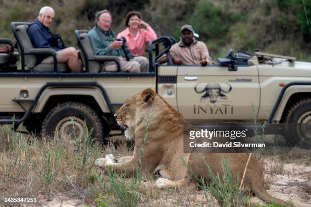 Tourists on a game drive watch a lioness in the Sabi Sands nature reserve on October 10, 2022 in Mpumalanga, South Africa. The country's embattled...