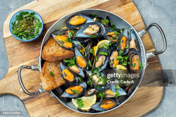 mussels saute - mollusco foto e immagini stock