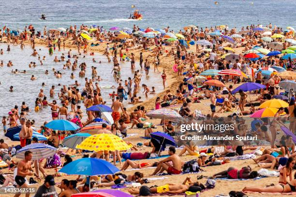 crowds of tourist on barceloneta beach, barcelona, spain - turism bildbanksfoton och bilder