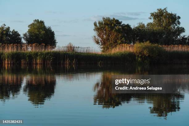 danube delta - andreea selagea stock pictures, royalty-free photos & images