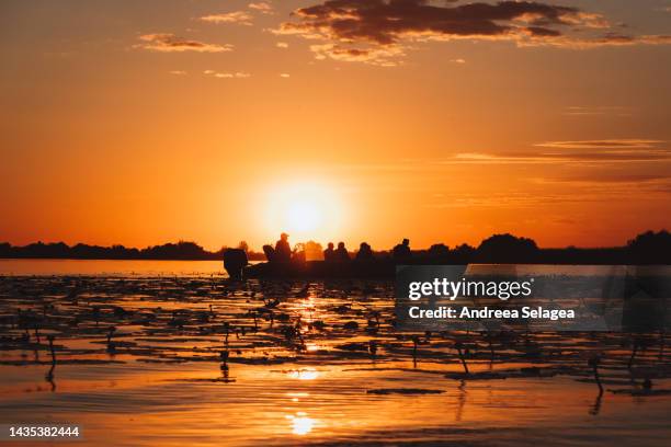 danube delta - andreea selagea stock pictures, royalty-free photos & images