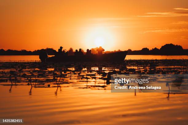 danube delta - andreea selagea stock pictures, royalty-free photos & images