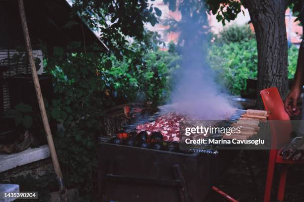 shish kebab meat roasting on grill - schaschlik stock-fotos und bilder