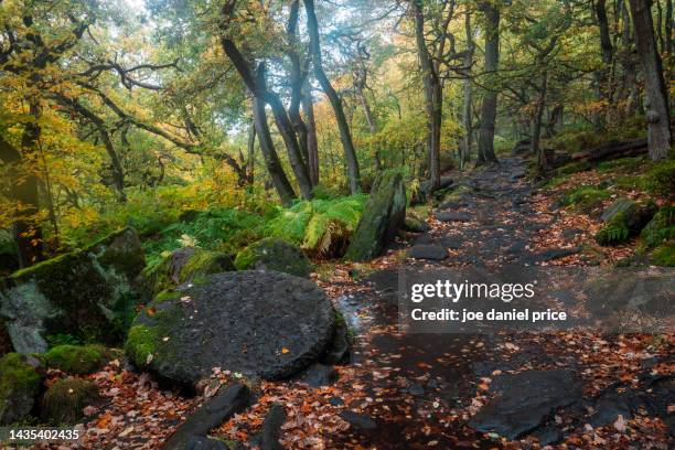 160 Padley Gorge Derbyshire Stock Photos High Res Pictures And Images 160-padley-gorge-derbyshire-stock-photos-high-res-pictures-and-images