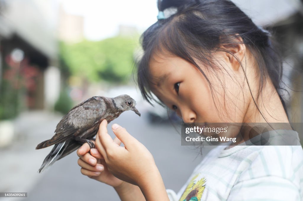 A girl playing with a baby turtledove.
