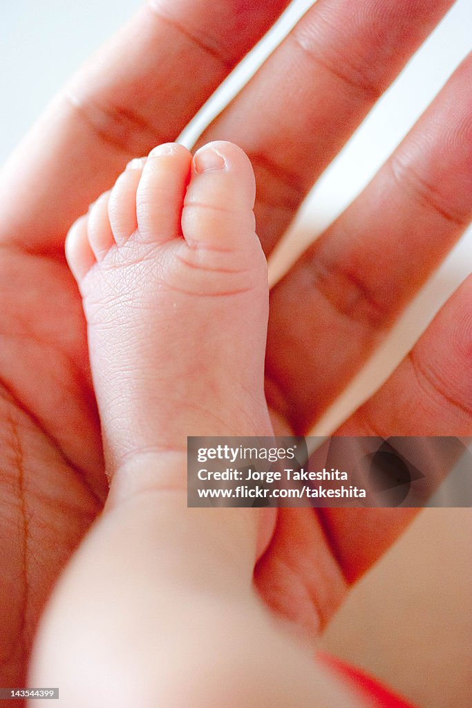 Human hand holding baby feet
