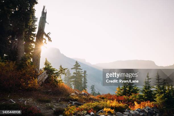 mount baker wilderness area in washington state - pacific northwest stock pictures, royalty-free photos & images