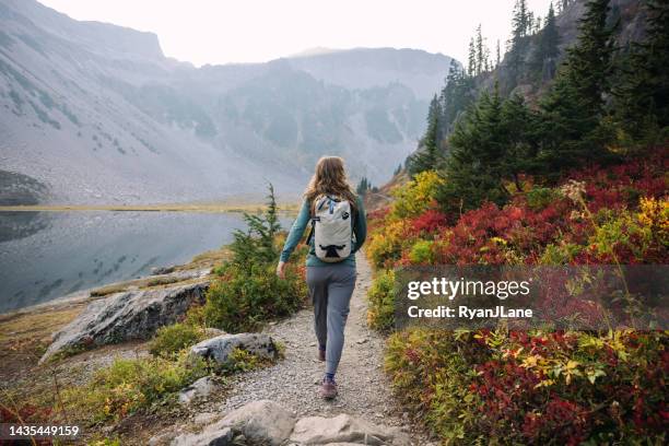 woman hiking in washington state wilderness area - washington state mountains stock pictures, royalty-free photos & images