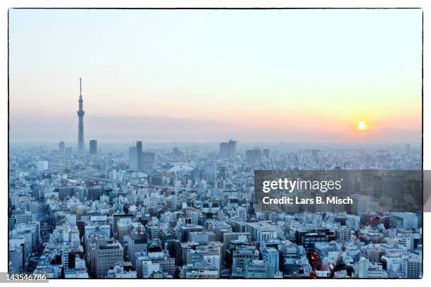 tokyo sky tree - sunrise dawn ストックフォトと画像