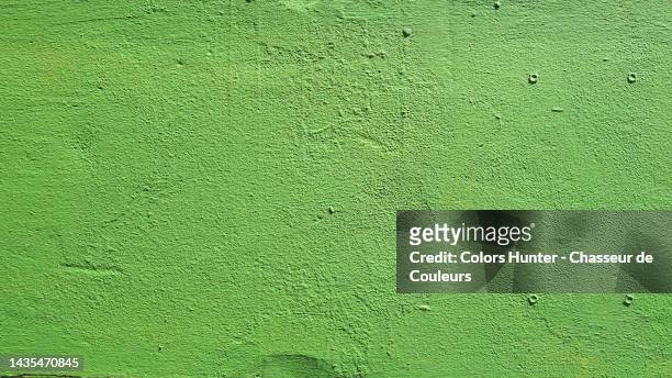 empty and clean green concrete wall with a natural light in brussels - hunter green 個照片及圖片檔