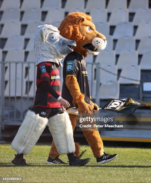 The Canterbury Larry the Lamb mascot and the Wellington Lions mascot before the Bunnings NPC Final match between Canterbury and Wellington at...