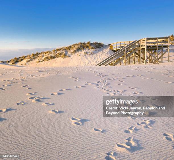 footprints, ripples and steps on beach - babylon new york stock pictures, royalty-free photos & images