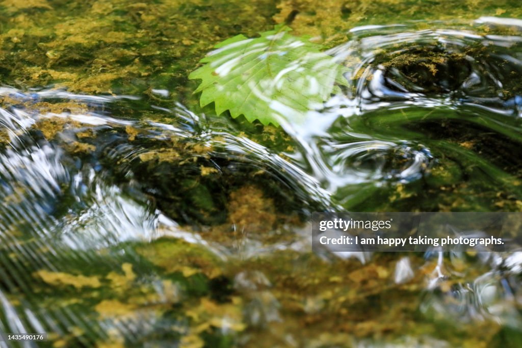 Ripple of clear stream