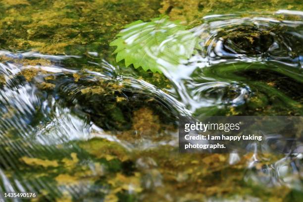 ripple of clear stream - bubbles happy stockfoto's en -beelden