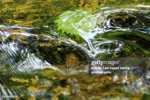 ripple of clear stream - brook stock pictures, royalty-free photos & images