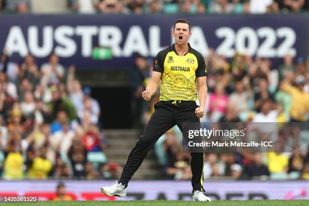 Josh Hazlewood of Australia celebrates bowling out Finn Allen of New Zealand during the ICC Men's T20 World Cup match between Australia and New...