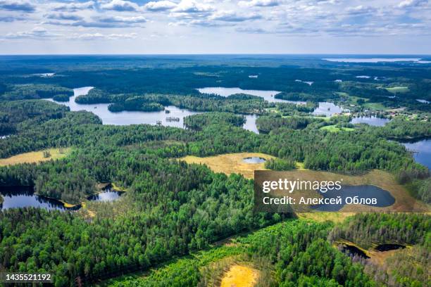 aerial view from above on ocher, forests and swamps of karelia. summer landscape in karelia - lake ladoga stock pictures, royalty-free photos & images