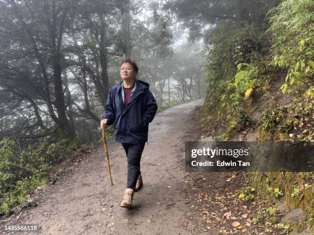 asian chinese female tourist looking at a view hiking at paro taktsang  monastery in bhutan - disparo bildbanksfoton och bilder