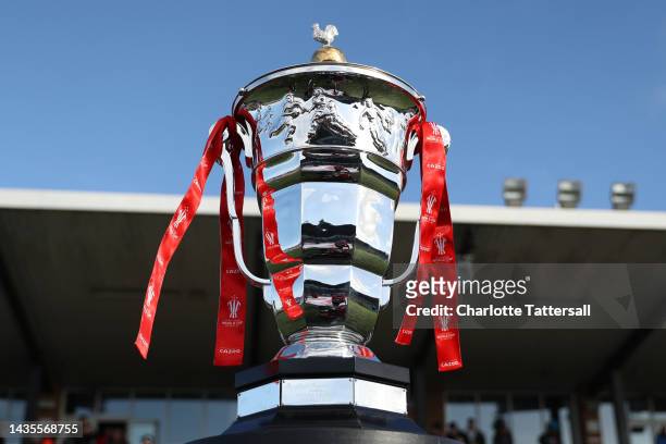The Men's Rugby League World Cup trophy is seen prior to the Rugby League World Cup 2021 Pool B match between Fiji and Italy at Kingston Park on...