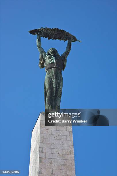 bronze sculpture of woman holding palm leaf - budapest liberty statue stock pictures, royalty-free photos & images