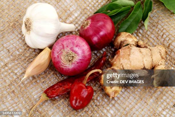 onions, garlic, red chilli, ginger, isolated on burlap sack - ginger garlic onion stock pictures, royalty-free photos & images