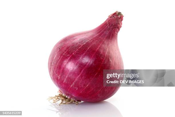 fresh red onion on white background - spanish onion fotografías e imágenes de stock