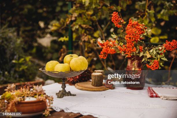 tisch im hinterhof dekoriert mit herbstlichem schnickschnack und - backyard retro stock-fotos und bilder