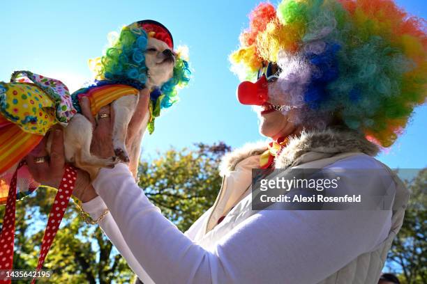 Cleo The Clown Chihuahua and her owner participate in the Annual Tompkins Square Halloween Dog Parade on October 22, 2022 in New York City. The...