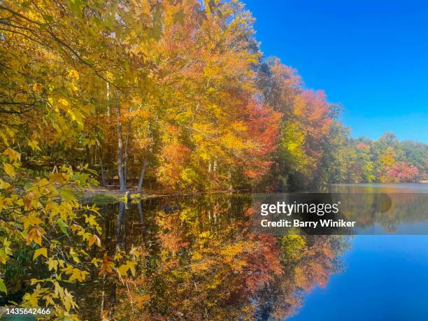 trees in autumn, tenafly - new jersey landscape stock pictures, royalty-free photos & images