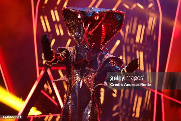 Die Black Mamba" performs onstage during the 4th show of "The Masked Singer" on October 22, 2022 in Cologne, Germany.