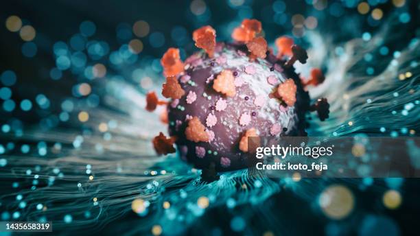 covid-19 new omicron sub-variant bq.1.1 - coronavirus microbiology stock pictures, royalty-free photos & images