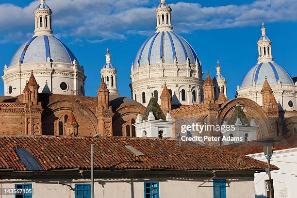 cathedral of the immaculate conception, cuenca - cuenca ecuador stock pictures, royalty-free photos & images