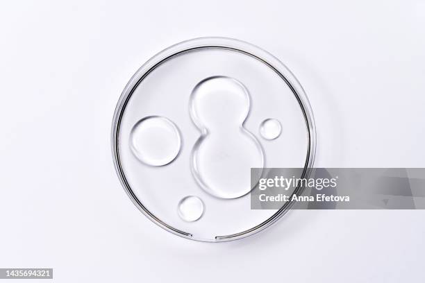 samples of gel in petri dish on white background. chemical research in scientific laboratory. concept of the latest nanotechnology - blood serum stock pictures, royalty-free photos & images
