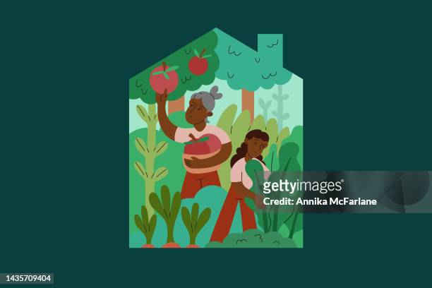 stockillustraties, clipart, cartoons en iconen met a middle-aged mother and daughter care for and harvest homegrown produce in garden - extended family diversity