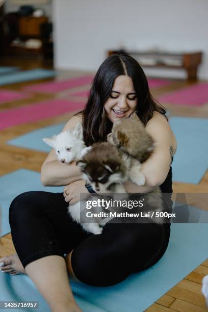 smiling woman with puppy dogs sitting on floor - my lai sit stock pictures, royalty-free photos & images