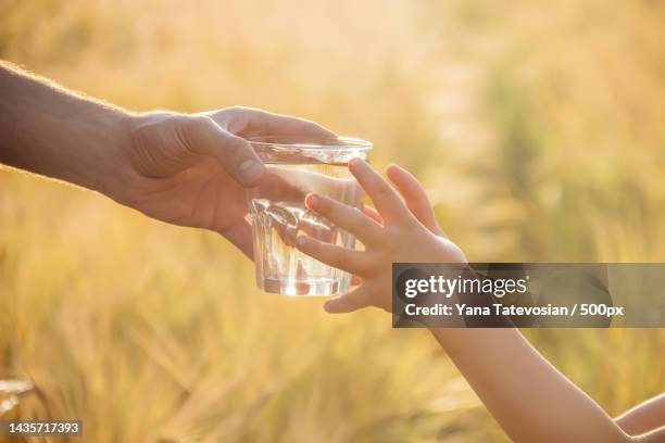 the father gives the child a glass of water selective focus - girl filling water glass stock pictures, royalty-free photos & images