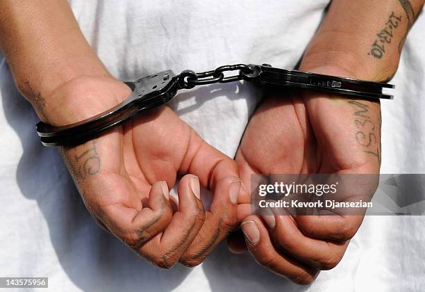 Handcuffs are seen on the hands of a twenty-year old "Street Villains" gang member who was arrested by Los Angeles Police Department officers from...