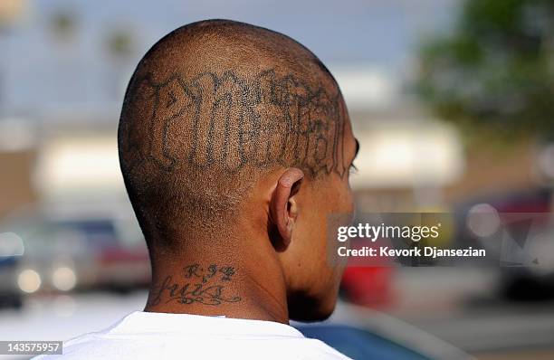 Tattoos are seen on the head of a twenty-year old "Street Villains" gang member who was arrested by Los Angeles Police Department officers from the...