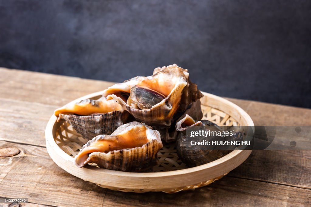 Fresh Shellfish conch, Edible Sea snails