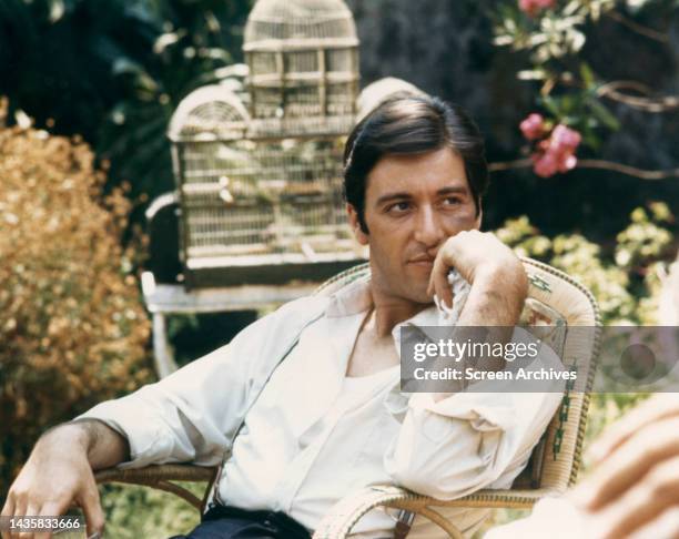 Al Pacino seated in garden as Michael Corleone from the 1972 movie The Godfather.