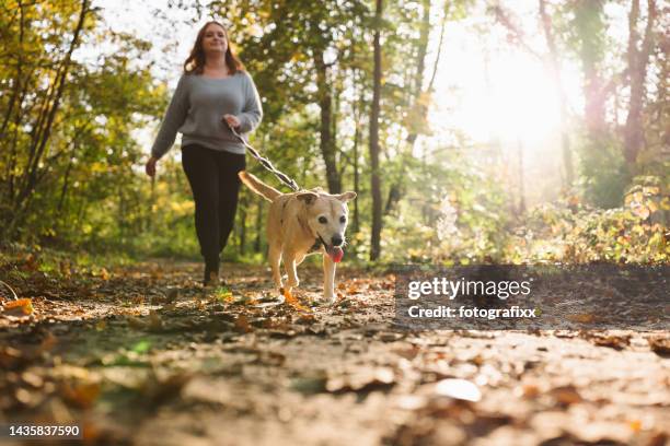 hundespaziergang: junge rothaarige frau mit mischlingshund - hundespaziergang stock-fotos und bilder