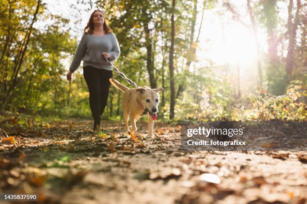 hundespaziergang: junge rothaarige frau mit mischlingshund - haustierleine stock-fotos und bilder