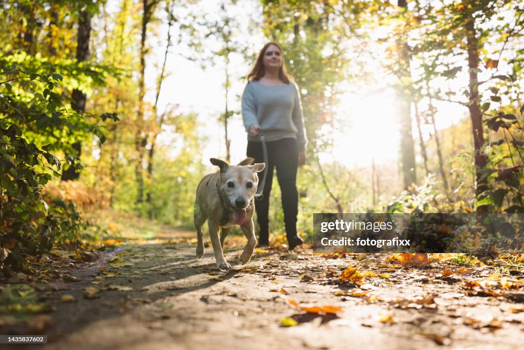 Dog walk: young redhead woman with mixed-breed dog