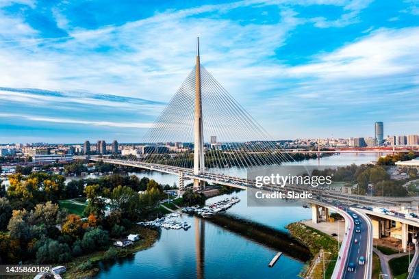 new, modern bridge on the river sava, belgrade, serbia. - serbien bildbanksfoton och bilder