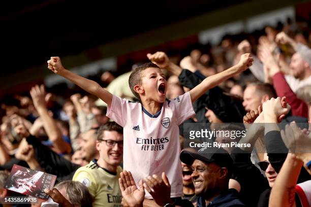 Arsenal fans celebrate after their sides first goal during the Premier League match between Southampton FC and Arsenal FC at Friends Provident St....