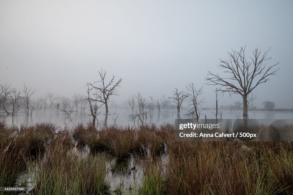 Scenic view of lake against sky,Canberra,Australia