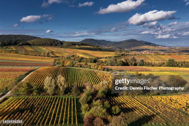 aerial view on agricultural landscape in autumn - rhineland palatinate stockfoto's en -beelden