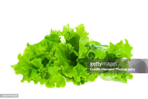 green cabbage bunch isolate in white background - lettuce texture stock pictures, royalty-free photos & images