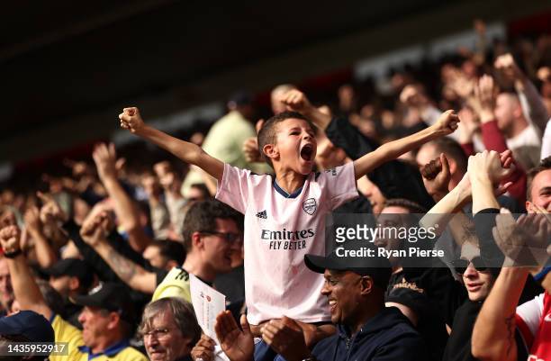 An Arsenal fan cheers during the Premier League match between Southampton FC and Arsenal FC at Friends Provident St. Mary's Stadium on October 23,...
